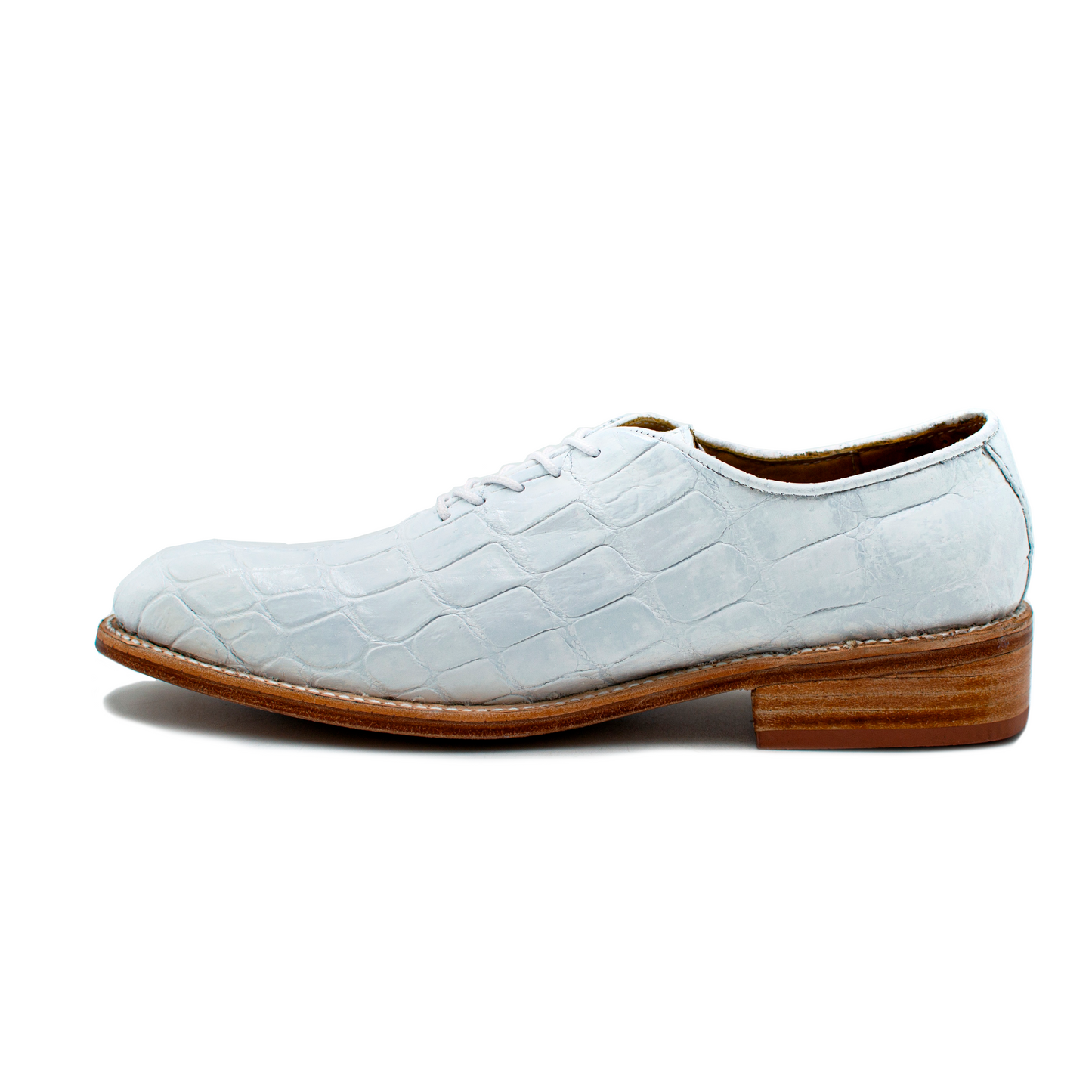 BOSTONIANO COCODRILO BLANCO - KIW94K