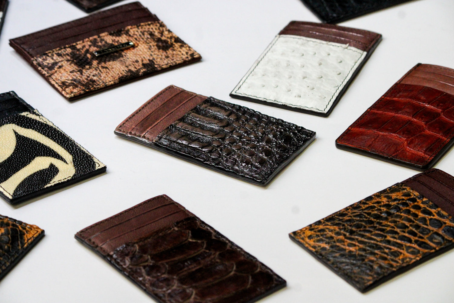 COLECCION TARJETEROS