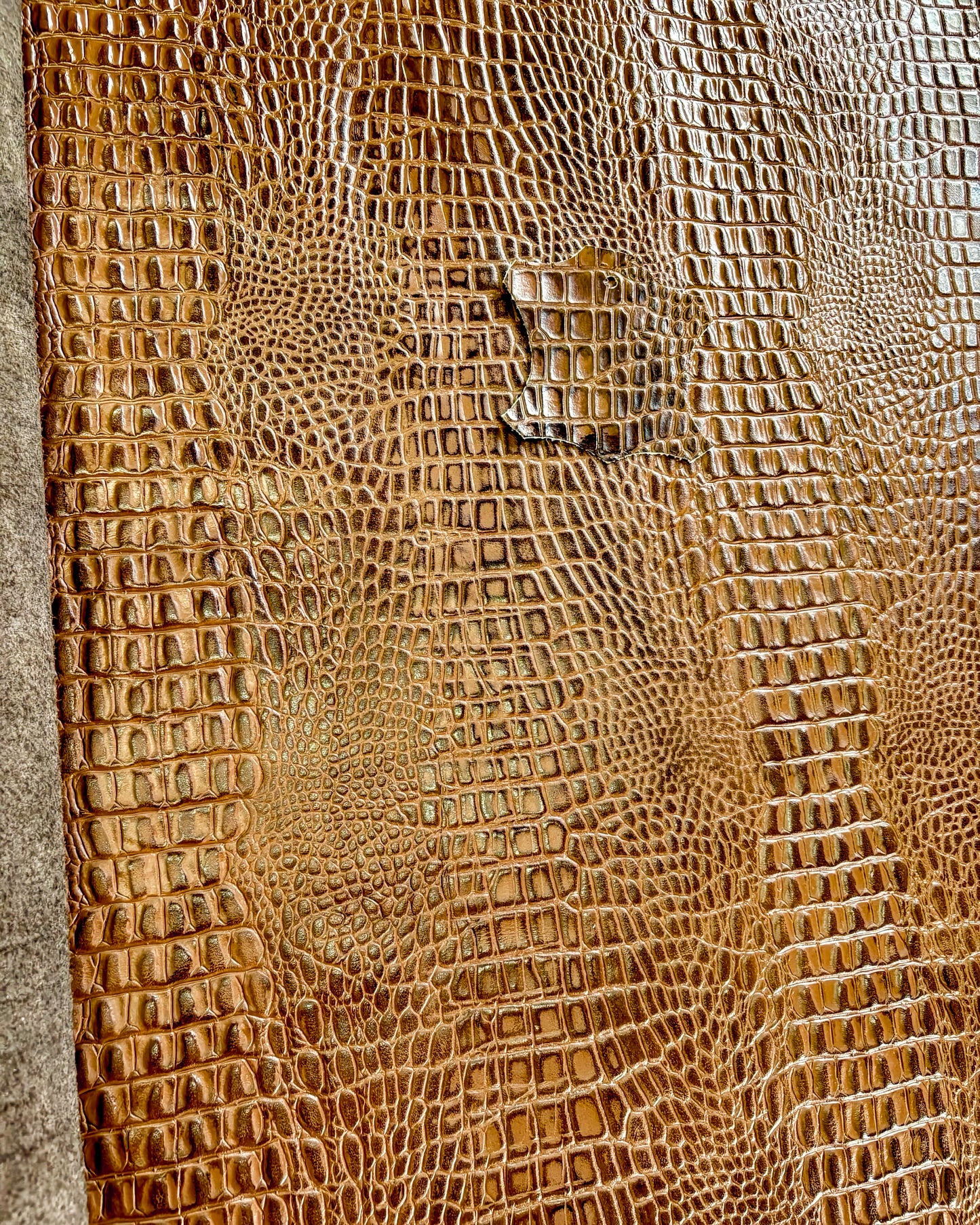 FUNDA / CASE / CARCASA PARA CELULAR EN PIEL /CUERO EXÓTIC DE PIEL GRABADA DE COCODRILO- GCF110B