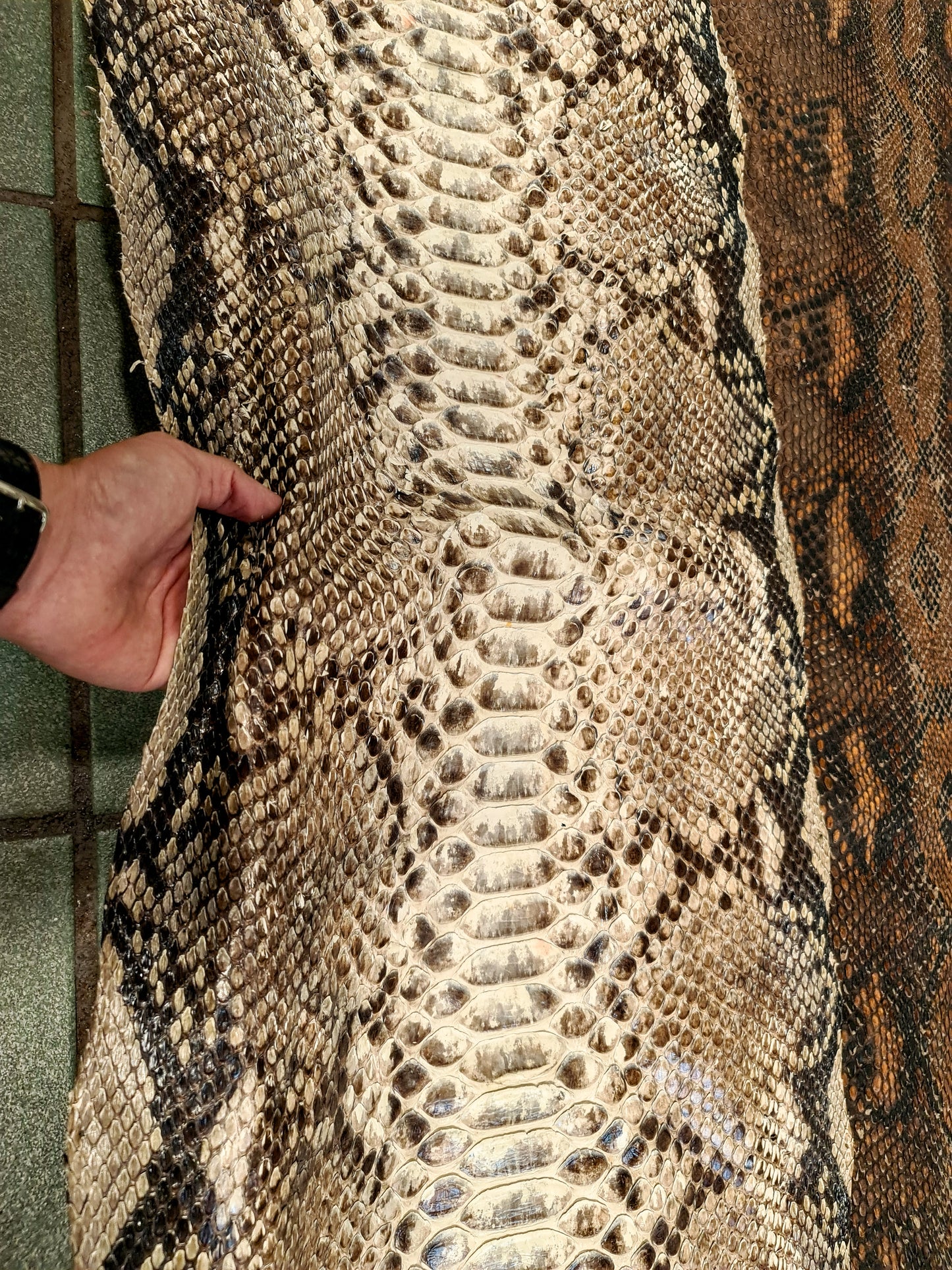 FUNDA / CASE / CARCASA PARA CELULAR EN PIEL / CUERO EXÓTIC DE SERPIENTE PITÓN CORTE BACK (LOMO) - FQA012K